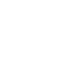 Misión